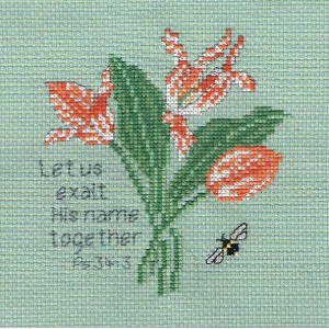 Sampler Kit - Let us exalt His name together